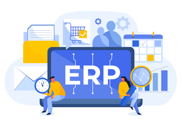 ERP Optimization